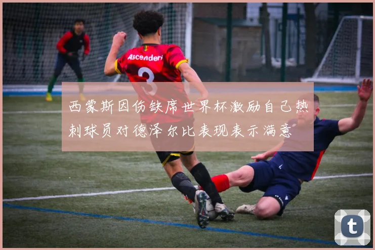 西蒙斯因伤缺席世界杯激励自己热刺球员对德泽尔比表现表示满意